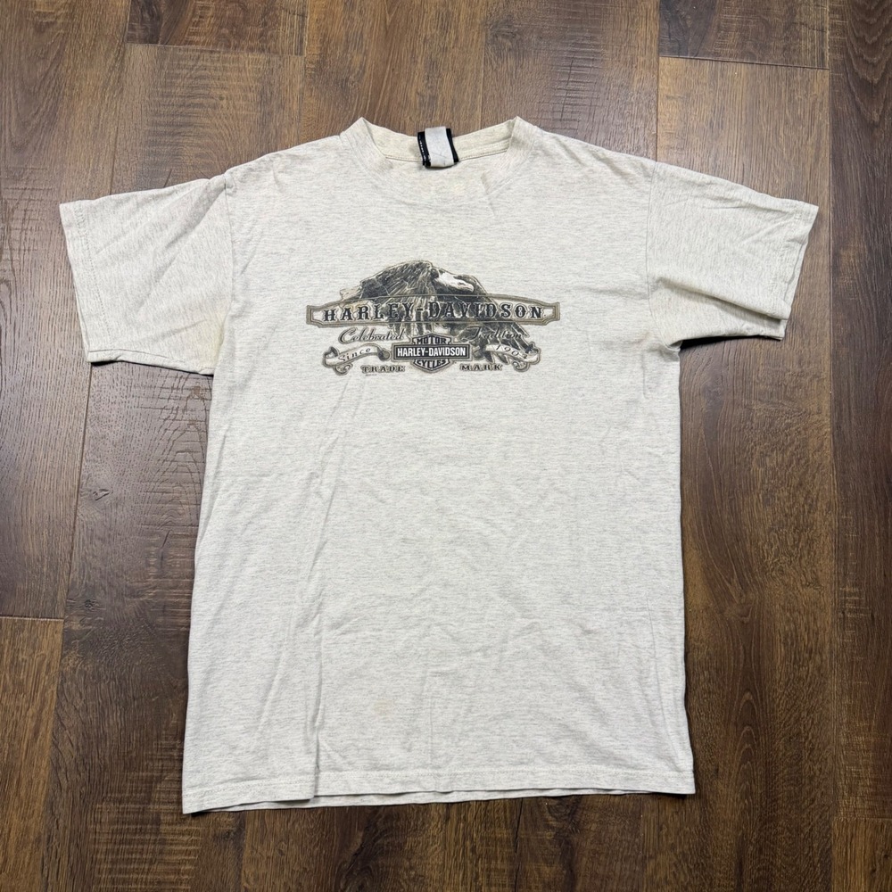 Vintage 90s Harley Davidson T-Shirt Men's M Gray Apol's Minnesota Eagle Dealer